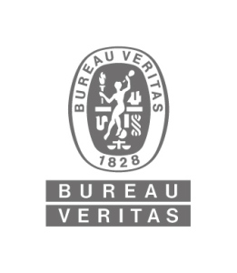Järjestäjän logo